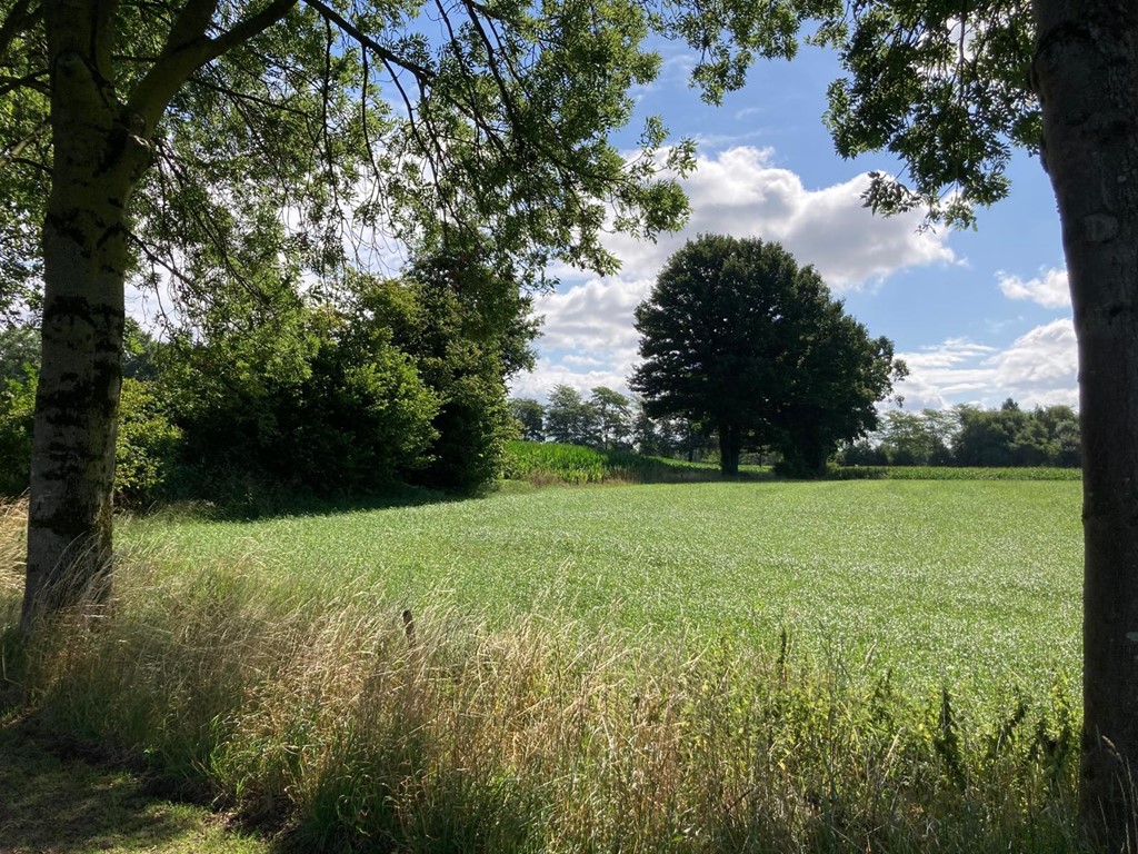 geersweg nieuwe foto juli 25 (7).jpeg